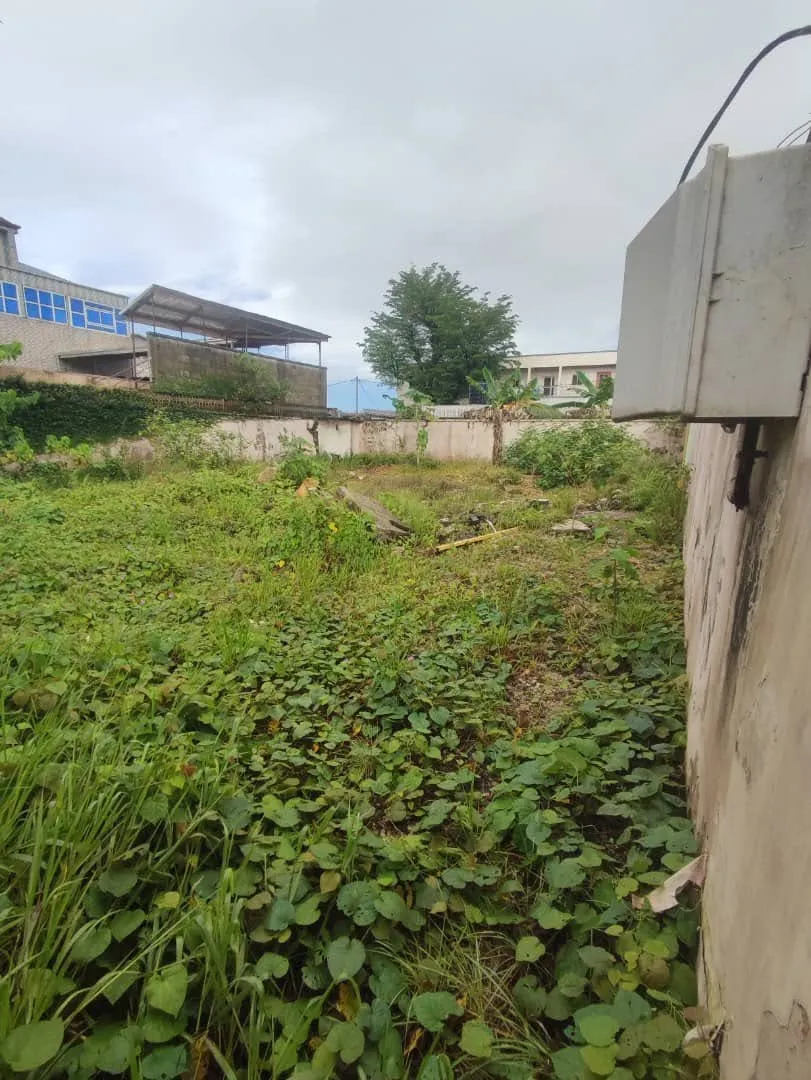 TERRAIN COMMERCIAL A VENDRE DOUALA KOTTO 300M2 BORDURE GOUDRON Lea Group Sarl Cameroun