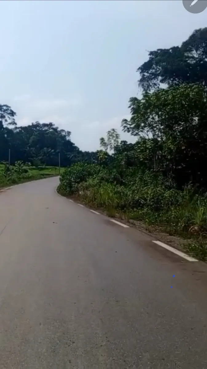 Terrain titré à vendre à kribi à 20 minutes du cette ville superficie 9461m2 Lea Group Sarl Cameroun