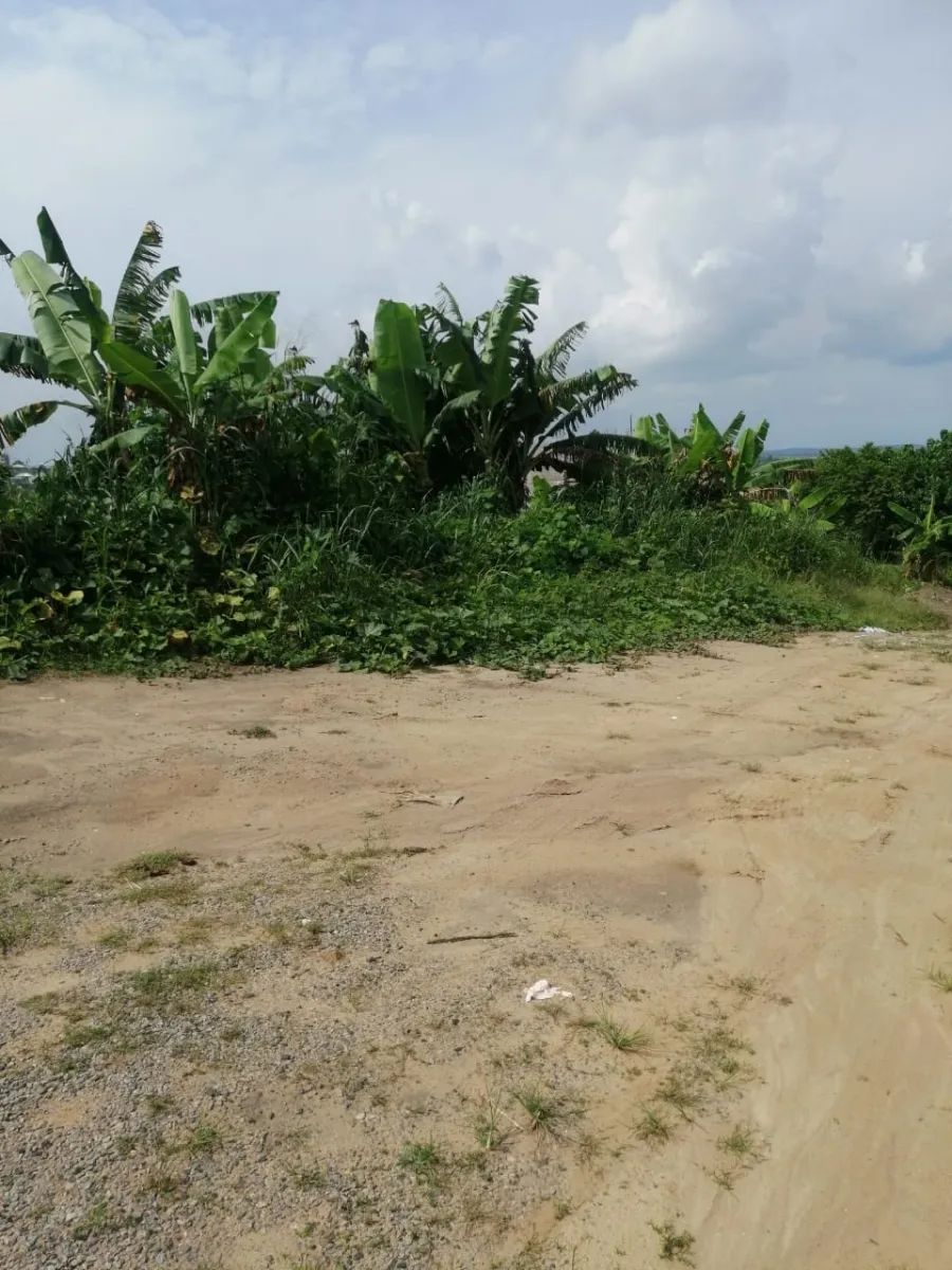 Terrain titré à vendre yassa bwang bakoko douala horizon 493m2 Lea Group Sarl Cameroun