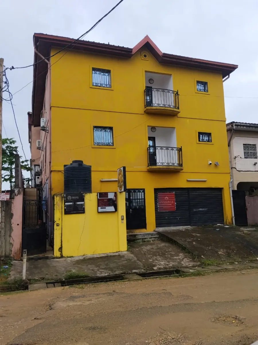 Immeuble Jumelle a vendre a bonamoussadi  — Léa Group au Cameroun