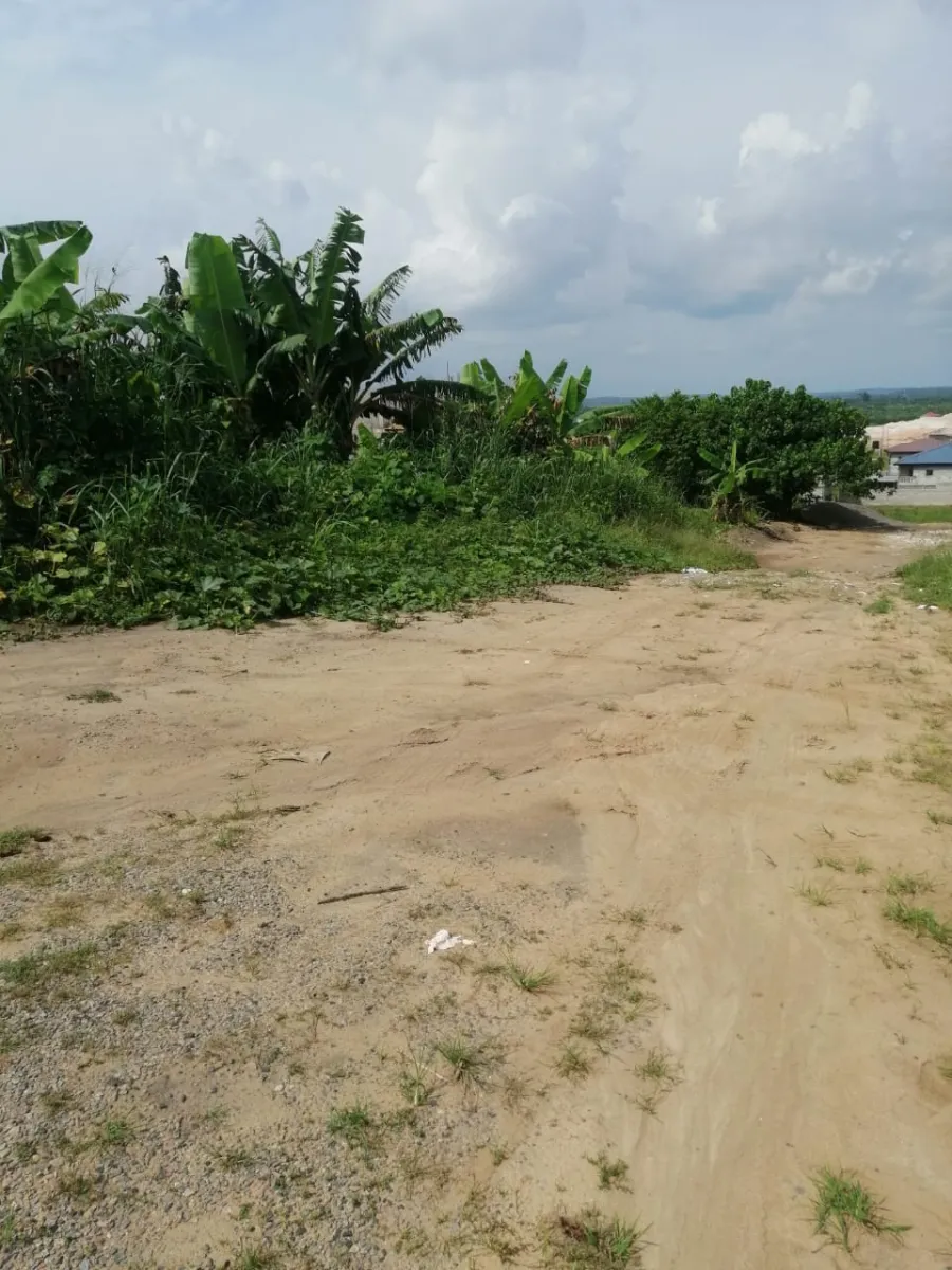 Terrain titré à vendre yassa bwang bakoko douala horizon 493m2 — Léa Group au Cameroun