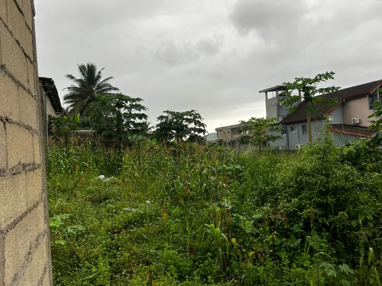 Terrain titré vendre à Yassa Neptune 200m2 — Léa Group au Cameroun