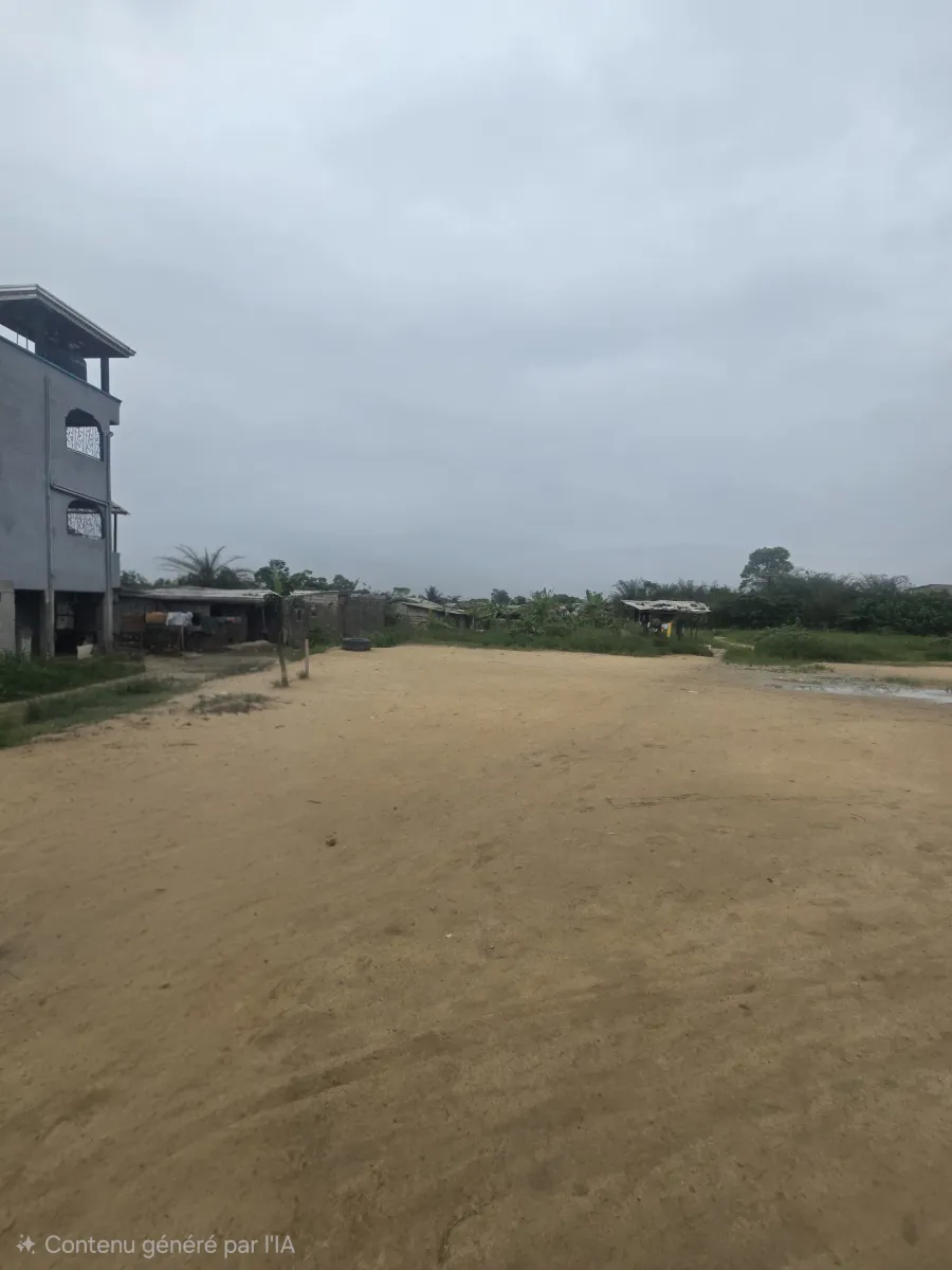Terrain commercial titré à vendre yassa avant le pont de la dibamba route nationale 3 superficie 1 hectares 6000m2 — Léa Group au Cameroun