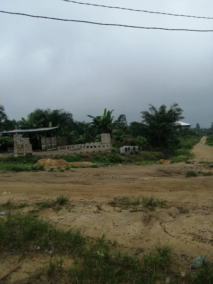 Terrain titré à vendre à japoma 2 hectares — Léa Group au Cameroun